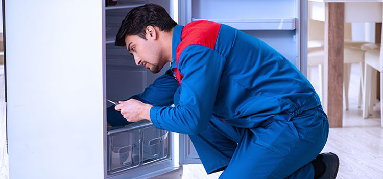Freezer Repair Services in Dechene